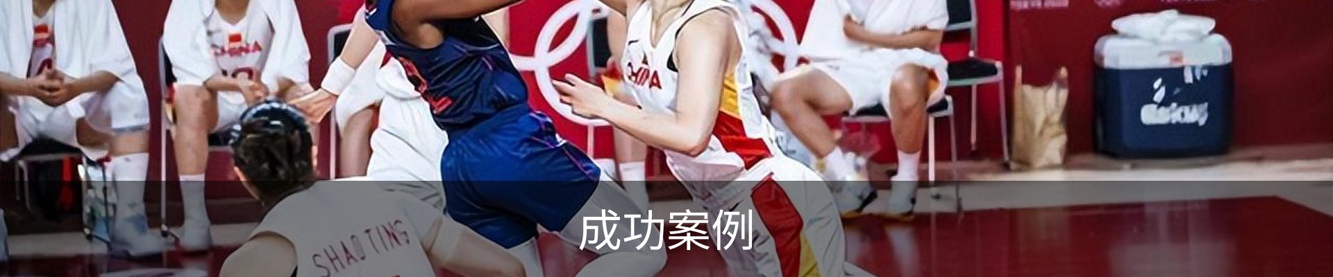 成功案例